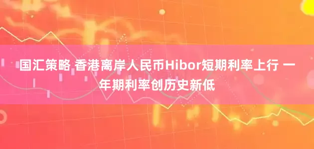 国汇策略 香港离岸人民币Hibor短期利率上行 一年期利率创历史新低